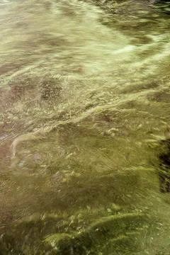 Liquid surface 库存照片