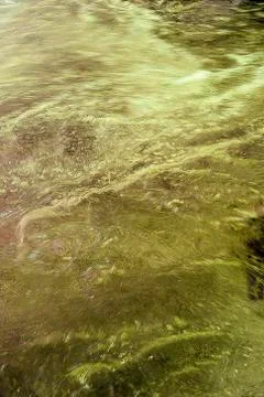 Liquid surface Stock Photos