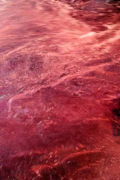 Liquid surface Stock Photos