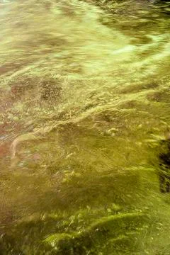 Liquid surface Stock Photos