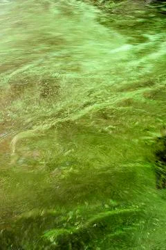 Liquid surface Stock Photos