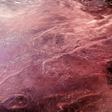 Liquid surface Stock Photos