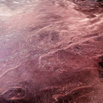 Liquid surface Stock Photos