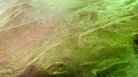 Liquid surface Stock Photos