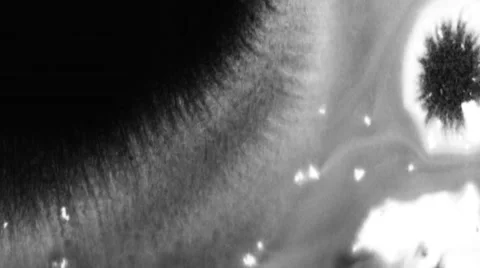 Liquid Transition 08 Stockbeeldmateriaal 41921517