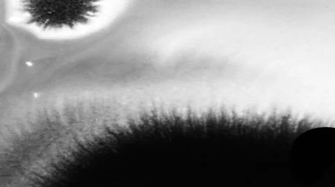 Liquid Transition 09 Stockbeeldmateriaal 41921525