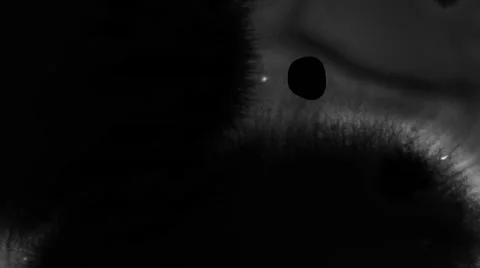 Liquid Transition 動画素材 59748345