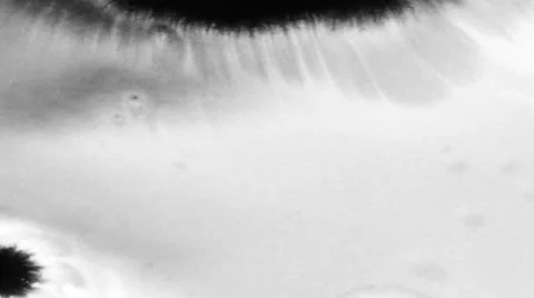 Liquid Transition Stock-Footage 59748361