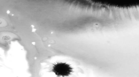 Liquid Transition 動画素材 59748367