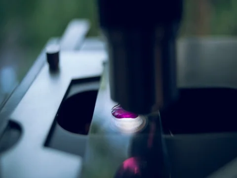 Liquid under a microscope. Stock Footage 77764282