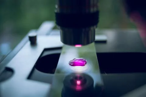 Liquid under a microscope. Stock Photos
