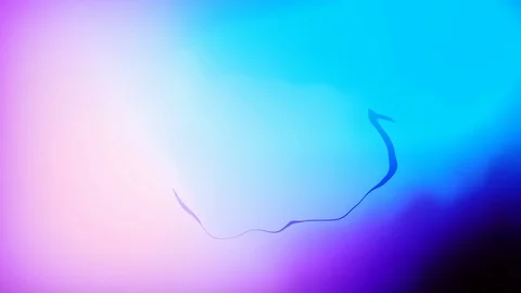 Liquid vibrant colors in seamlessly looping background texture in 4K 動画素材 118743726
