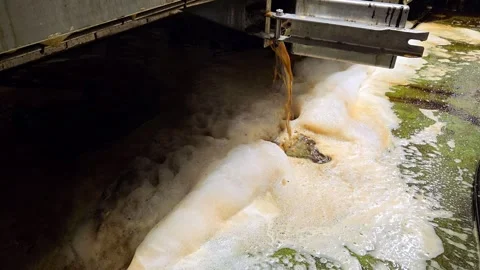 Liquid waste drainage of dissolved beechwood tar and foam during factory cleanin Video stock 330754273