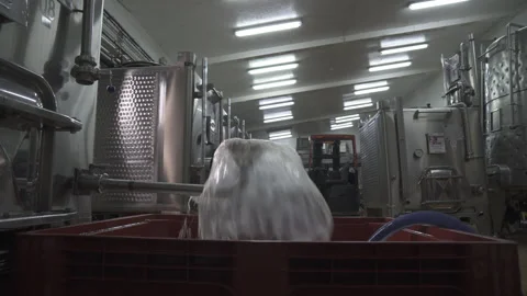 A liquid, white wine, is drained from the wine preparation tank. Stock Footage 153813411