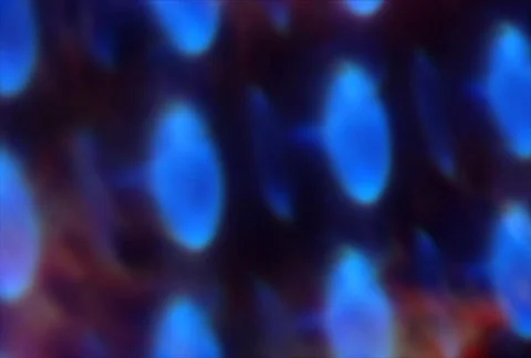 LiquidLite06 Stock Footage 112513