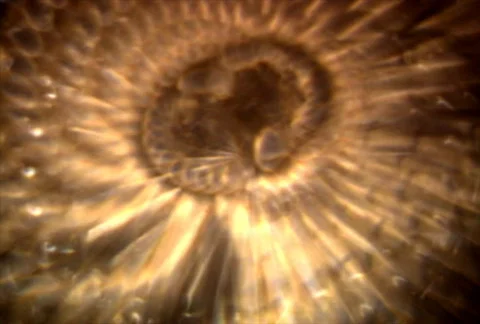 LiquidLite14 Stock Footage 112529