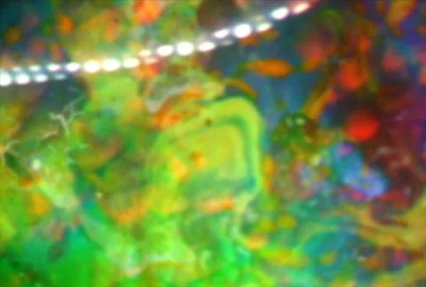 LiquidLite21 Stock Footage 112552