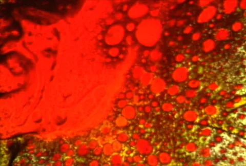 LiquidLite28 動画素材 112322