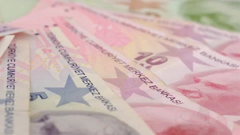 Liras macro 動画素材 139406617