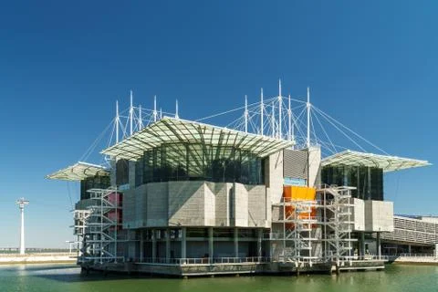 The Lisbon Oceanarium Stock Photos