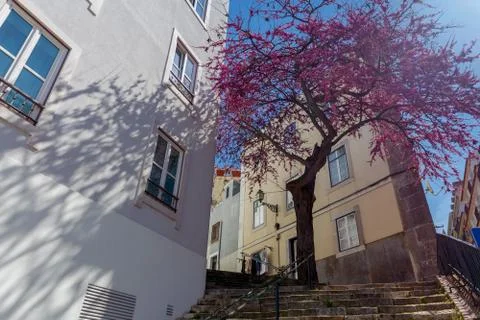 Lisbon. Old streets. Stock Photos
