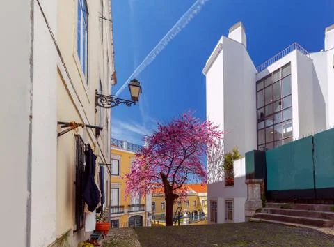 Lisbon. Old streets. Stock Photos