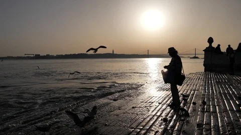 Lisbon Seagulls Sunset Slow Motion Video stock 86904494