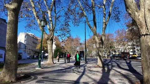 Lisbon Sightseeing On Foot Experience Stock-Footage 340586023