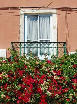 Lisbon window balcony Stock Photos