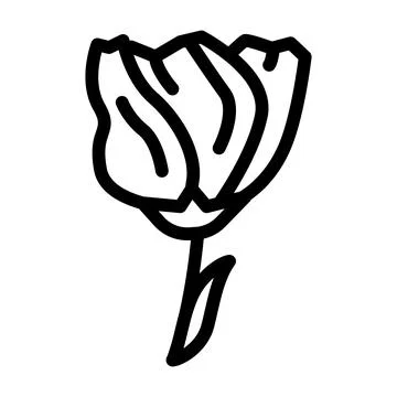 Lisianthus flower line icon vector illustration 스톡 일러스트