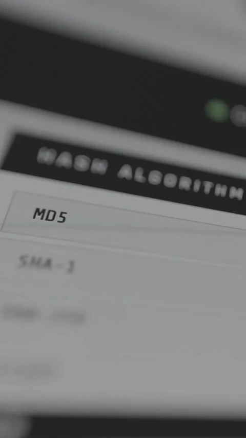 List of cryptographic Hash Algorithms used in computer security 動画素材 333373340