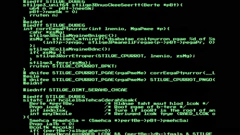 A list of instructions, scrambled source code text from public domain Stock Footage