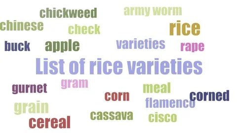 List Of Rice Varieties Tag Cloud Animated On White Background Stock Footage 107212644