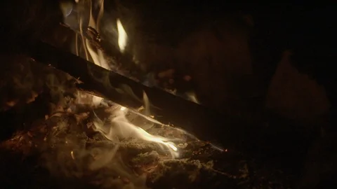 Lit campfire at night Stock Footage 87614010