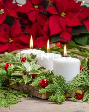 Lit candles with evergreens and poinsettias Stock Photos