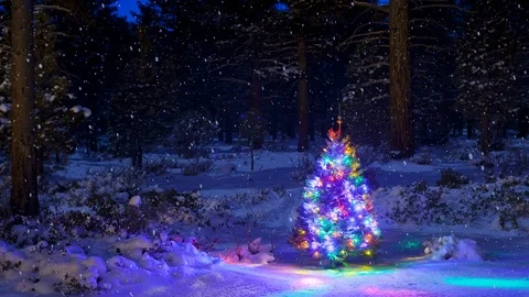 Lit Christmas Tree in the Forest with CG Falling Snow Background Stock Footage 97098608