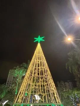 Lit Christmas Tree Stock Photos