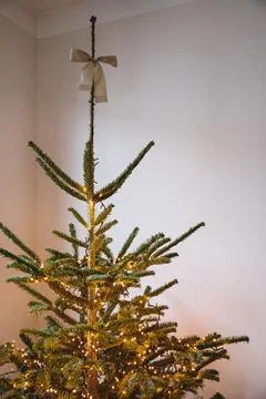 Lit Christmas Tree Topped with a Bow. Minimalist Christmas tree with white bo Stock Photos