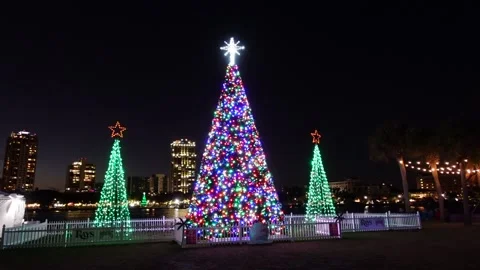 Lit Christmas Trees Stock-Footage 168184902