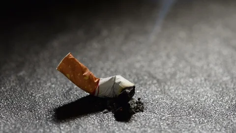Lit cigarette butt with smoke on the ground . Stock Footage 125540763