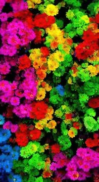 Lit the flower candies and float in the tub. Abstrackt psyhodelic background Иллюстрация