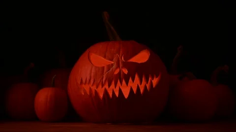 Lit from inside, jack-o-lantern glows among small orange pumpkins Stock Footage 313630470