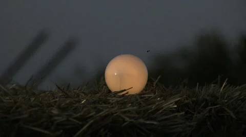 Lit lightbulb explosion by arrow in super slow motion Stock Footage 5174041