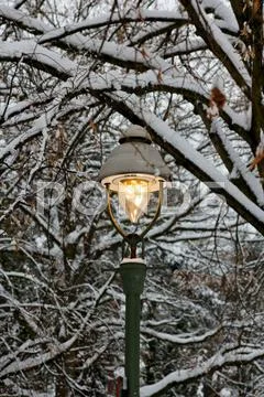 Lit Street Light Among Snowy Branches In Winter