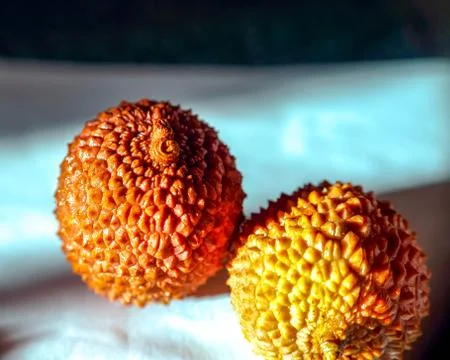 Litchi chinensis. Lychee fruit in the shell, peeled and with pit. Stock Photos