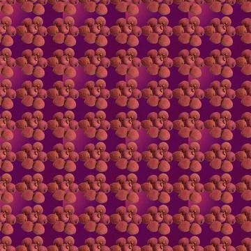 Litchi fruit on light red background isolated, laid out pattern, top view, fl Stock Illustration