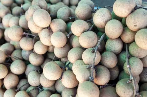 Litchi Stock Photos