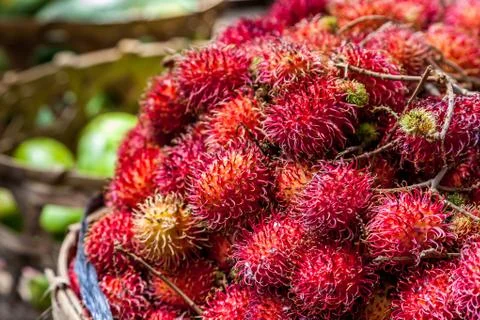 Litchis Stock Photos