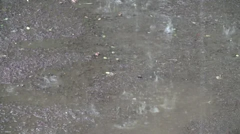 Lite rain on ground 動画素材 10869531