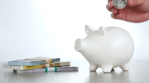 Litecoin cryptocurrency with many Dollars ans Euros and big white moneybox pig Stock Footage 88783250